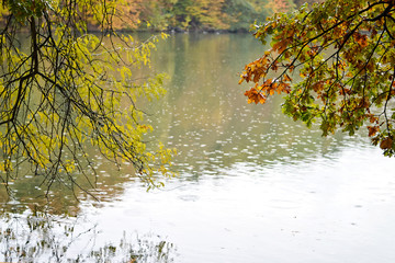 Autumn rainy day on the lake