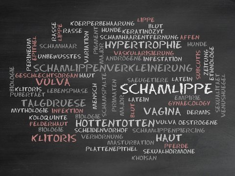 Schamlippe