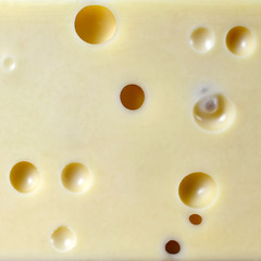 Emmental cheese