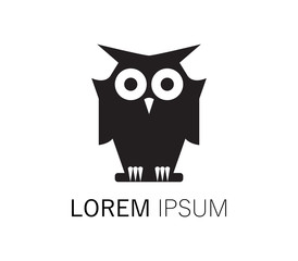 Owl Logo Design