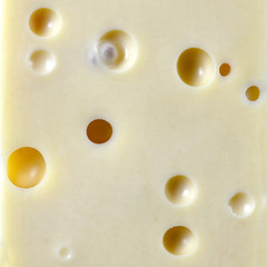 Emmental cheese background