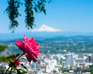 The Rose City: Portland, Oregon