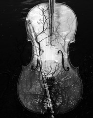 Cello with nature overlay © mscornelius
