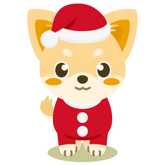 いぬっこ倶楽部 クリスマス チワワ（クリーム）