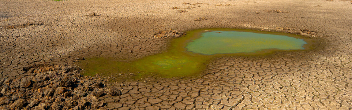 Dried Out River Bed During Summer Drought