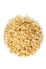 Organic soft white wheat  isolated on white