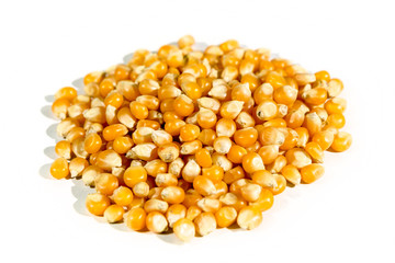 Organic yellow popcorn grains isolated on white