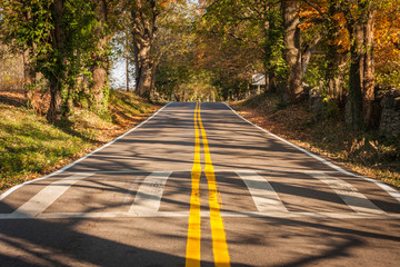 Obraz premium Country Road in Autumn