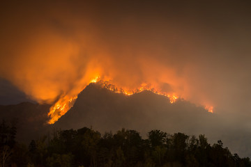 The forest fire claiming more acres at Party Rock at Lake Lure in the Blue Ridge Mountains of North...