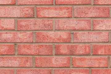 Obraz premium Brick wall made from light red bricks.