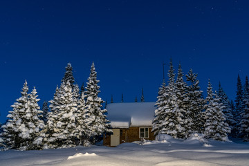 Early morning in the mountains of Khamar-Daban
