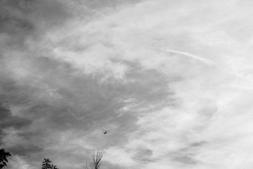 B&W Sky