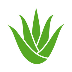 Green aloe vera plant with leaves flat color icon for apps and websites - obrazy, fototapety, plakaty