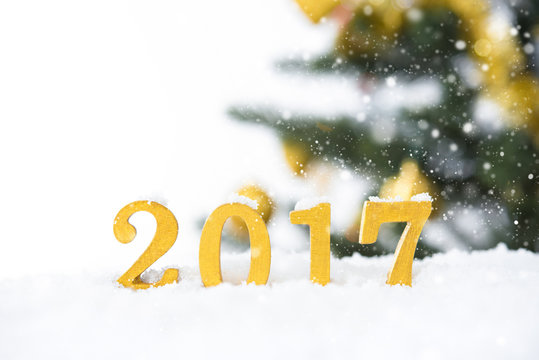 Golden 2017 figures in snowfall