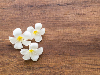 Fototapeta na wymiar Frangipani plumeria Spa Flower on the wooden