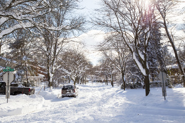 Fototapeta na wymiar snow filled tree lined street