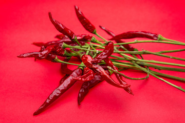 red spicy chili peppers isolated on red background