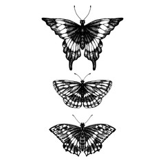 hand drawn set of butterflies