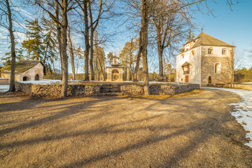 snow covered forest on the Alps
