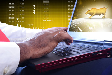 Business man working the laptop