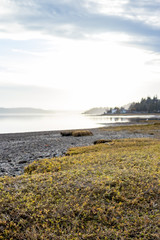 foggy glow near hood canal
