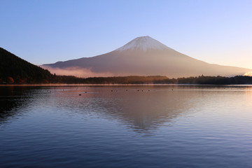 Fototapeta premium 田貫湖と富士山