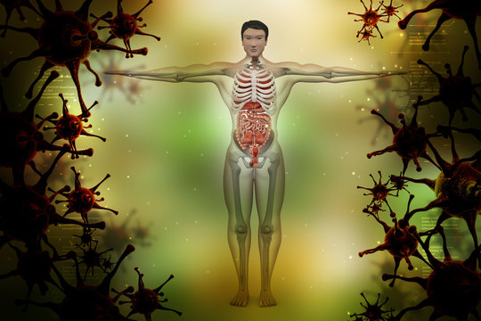 human anatomy with virus