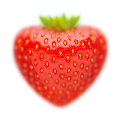 strawberries on white background with blur