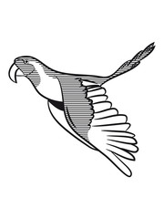 Parrot bird flying striped