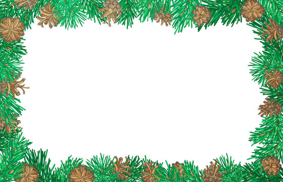 Nature horizontal background with pine branches and cones.