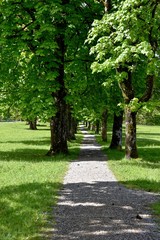 Wanderweg über eine Wiese bei Grainau