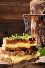 Fresh sandwich with cheese and herbs