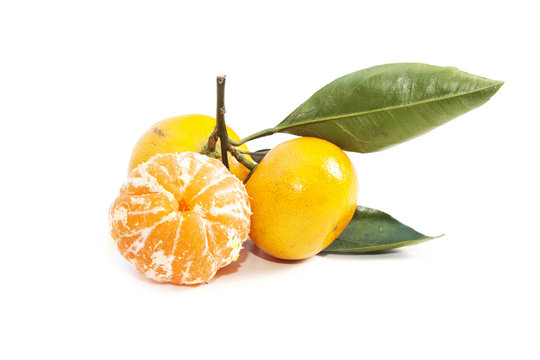 tangerines (mandarins) with leaf on white background