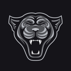 Panthers head logo for sport club or team. Animal mascot logotype. Template. Vector illustration.