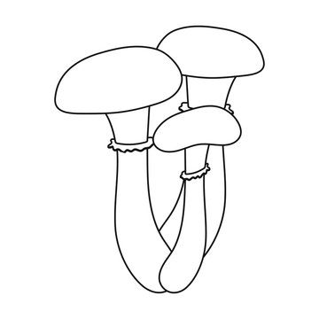 recommend clip art: Honey agaric icon in outline style isolated on white background. Mushroom symbol stock vector illustration.