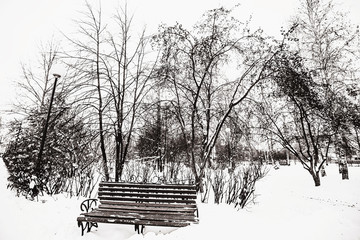 Leafless tree branches abstract background. Black and white. The bench in the Park - 126905604