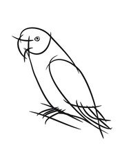 Parrot bird design