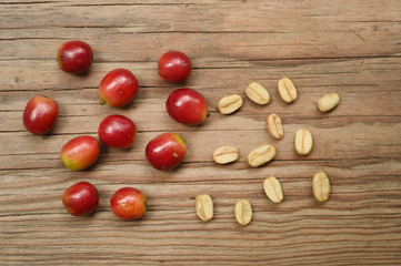 Fresh coffee bean on wooden background