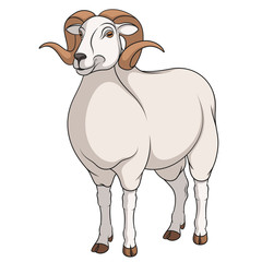 Color vector image of a ram. Object on a white background