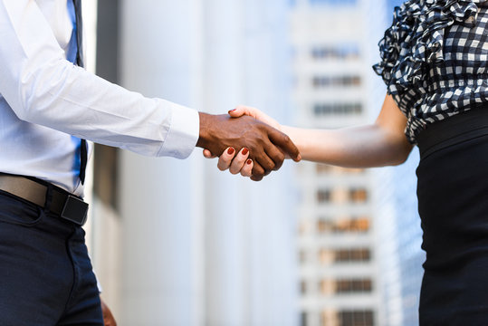 International Colleagues Handshake In Outdoor Meeting