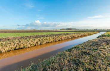 Agricultural landscape diagonally bisected by a ditch © Ruud Morijn