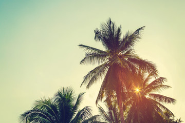 kokospalm en lucht op het strand met vintage afgezwakt.