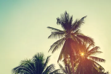 Keuken foto achterwand Palmboom kokospalm en lucht op het strand met vintage afgezwakt.