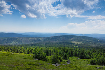 Fototapeta na wymiar Mountains and forest of Harz in the sunlight , Germany
