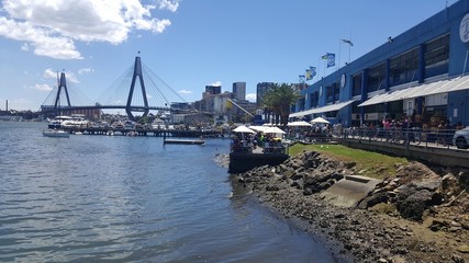 Anzac bridge, Sydney,  Australie  © aure50
