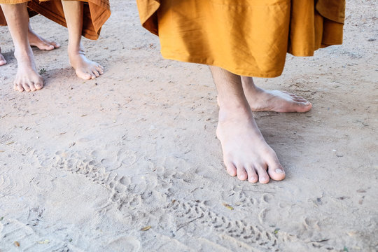 Foot of Monk