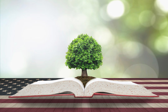 Tree of knowledge/ life growing from big archive open textbook with USA flag pattern on aged wood table, blur natural green background: Read across america day concept