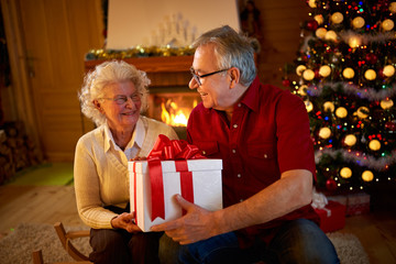 Obraz na płótnie Canvas grandparents with big gift at Christmas eve.