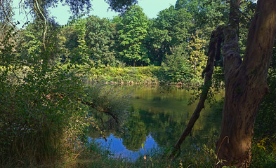 Bavaria, Germany - Beautiful view of Isar river framed by tree