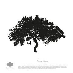 Black tree silhouette on a white background. Picture of apple